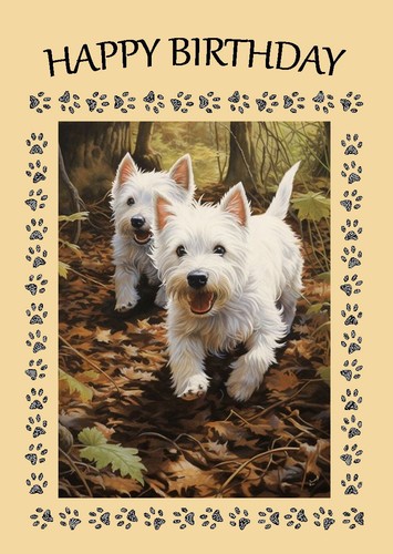 West highland white terrier - white,
