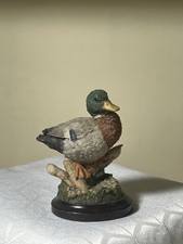 Country Artists Mallard Duck