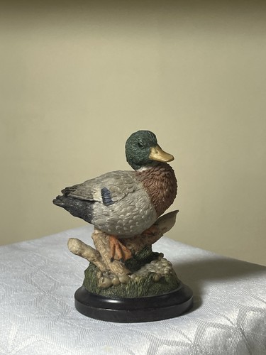 Country artists mallard duck - country,