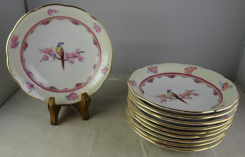 Ten eichwald exotic - ten, bird