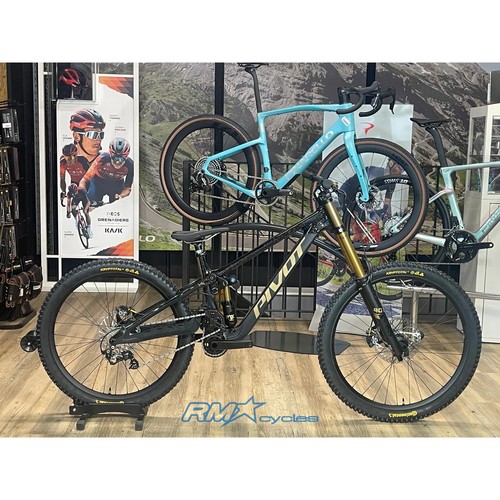 Pivot phoenix saint pro - saint,