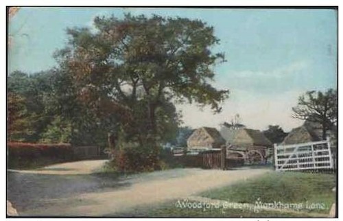 Woodford green monkhams lane - green,