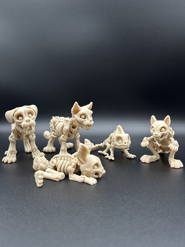 Printed pet skeleton - pet, animal