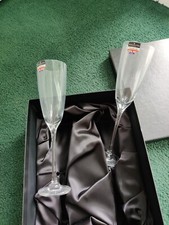 Darlington Champagne Flutes