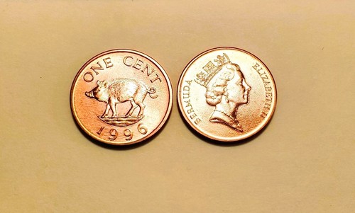 1996 bermuda cent - 1996, wild