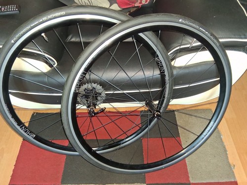 Excellent used hunt season - used,