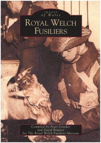 Royal welch fusiliers - welch,