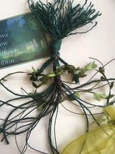 Gaia 🌳Green Witch 🌲Hedge