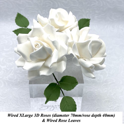 White wired xlarge - white, &