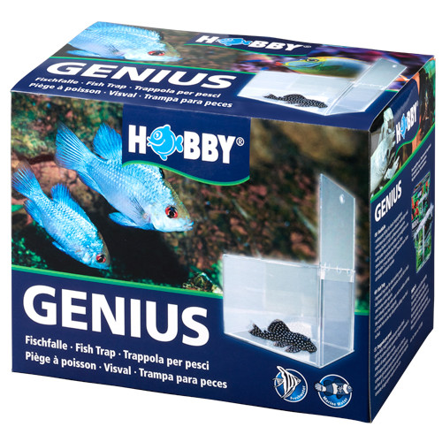 Hobby genius fish - hobby,