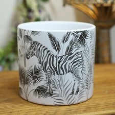 Zebra Animal Jungle Scene