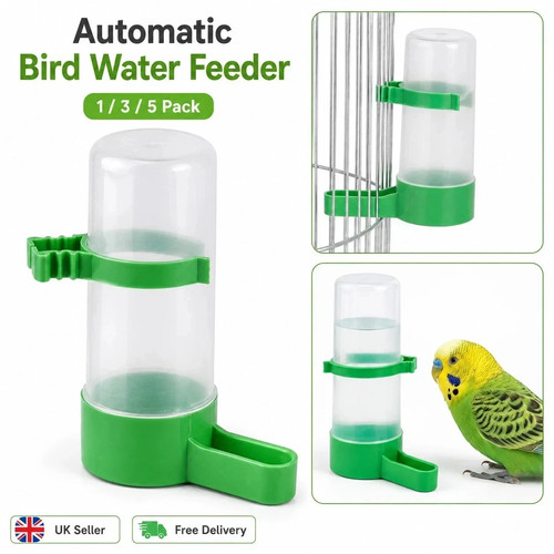 Bird water feeder - bird,