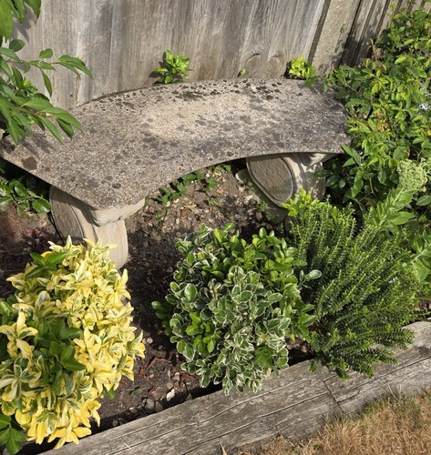 Stone curved garden - garden, seat