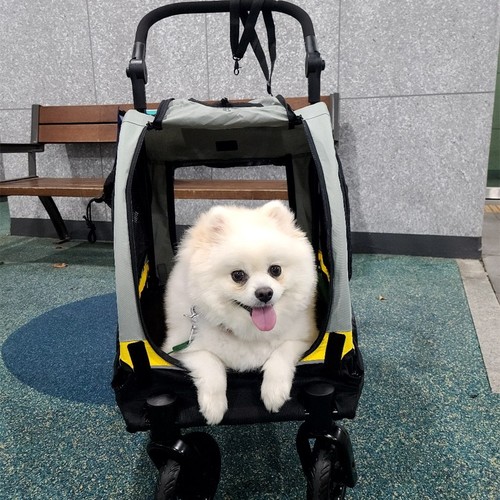 Portable pet dog - portable,