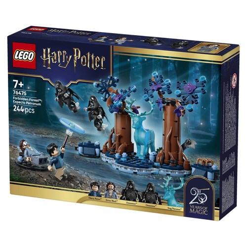 Lego harry potter forbidden - potter,