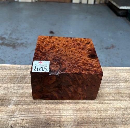 Thuya burr 5 x - 5, 3”