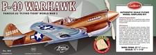 P-40 Warhawk Flying Model