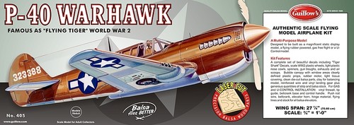 Warhawk flying model - warhawk,