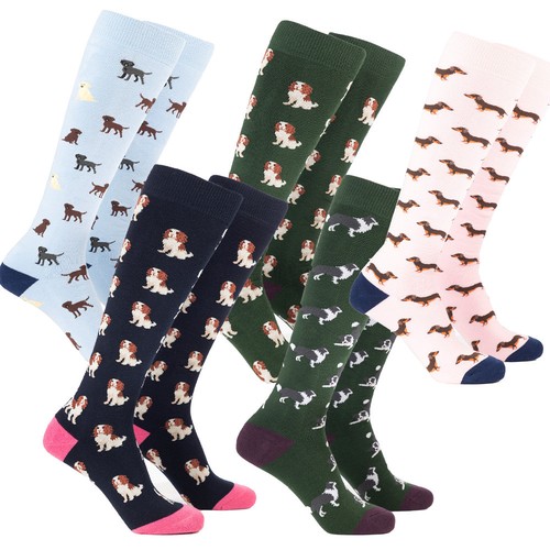 Ladies novelty welly - ladies, socks