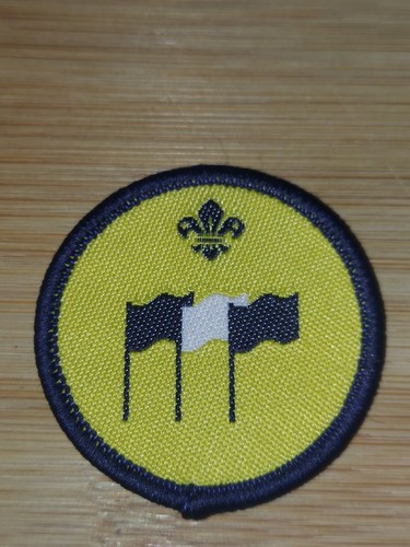 Scouting beaver scout - uk,