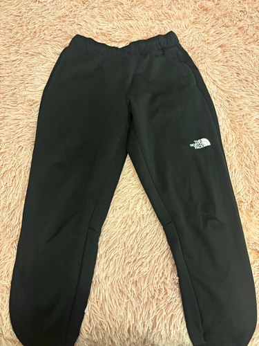 The north face men - the, men's