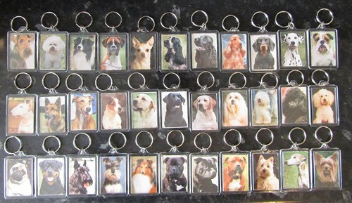 Dog breed key - dog,