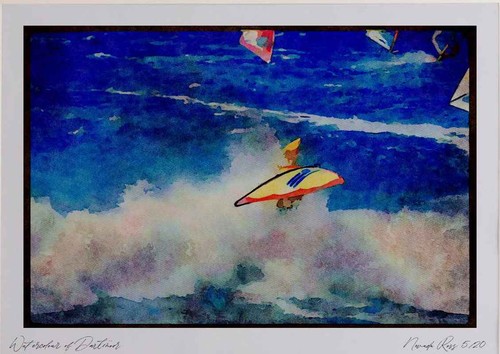 Sailing 339075 neill cup - sailing,