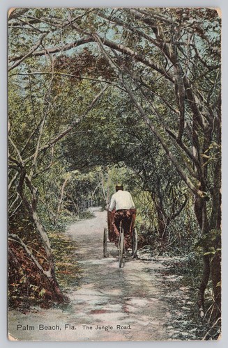 Palm beach florida - jungle, road