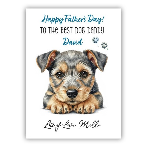 Australian terrier - australian,