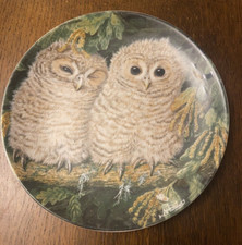 'Tawny Owl Chicks' The Baby Owls Wedgwood Bone China Plate Dick Twinney. Decor.