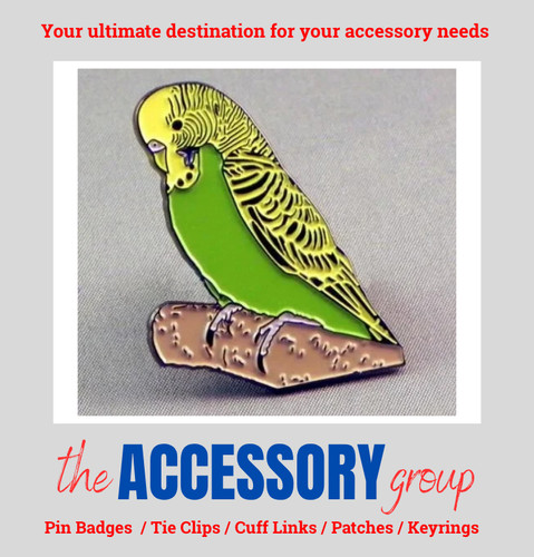 New yellow green budgie bird - budgie,