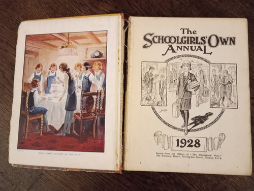 The schoolgirls own annual - schoolgirls',