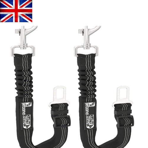 Pack adjustable dog - 2,