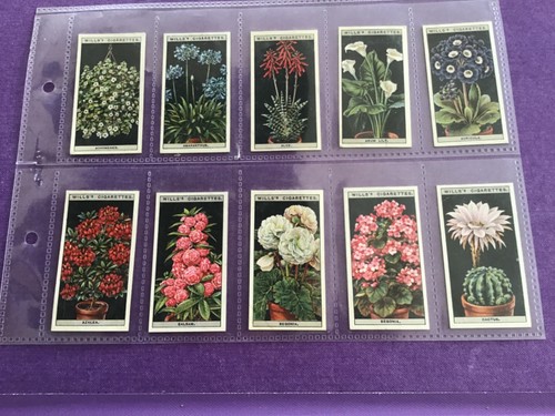 Flower culture pots - pots, a
