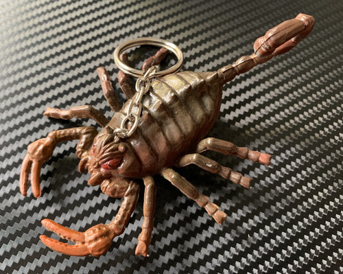 Vintage scorpion animal - vintage,
