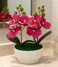 Dark Pink Potted Butterfly
