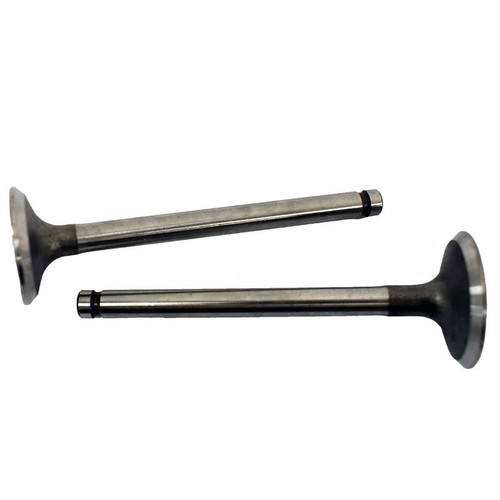 Engine valve pair honda trx90 - valve,