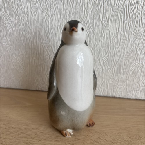 Lomonosov lfz russia penguin - lfz,
