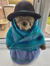 Gabrielle Designs aunt lucy  