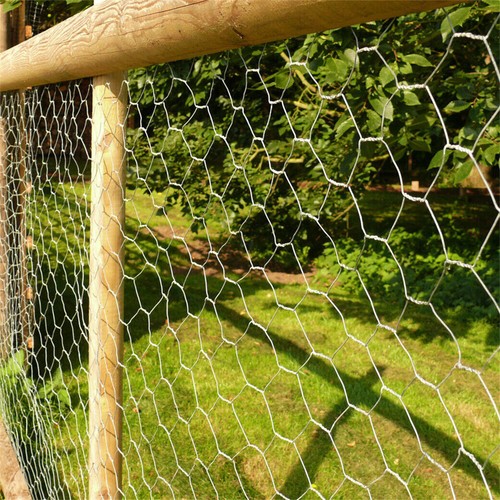 25m welded chicken wire mesh - welded,