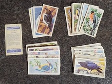 Large Lot Of 53 1957 Brooke