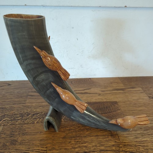 Water buffalo horn - buffalo, ornamental