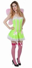 Women's Fairy Fancy Dress