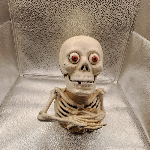Skeleton skull cast - skull,