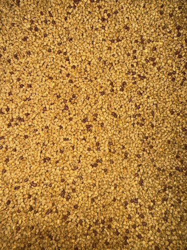 10kg 2mm micro bloodworm - 10kg,