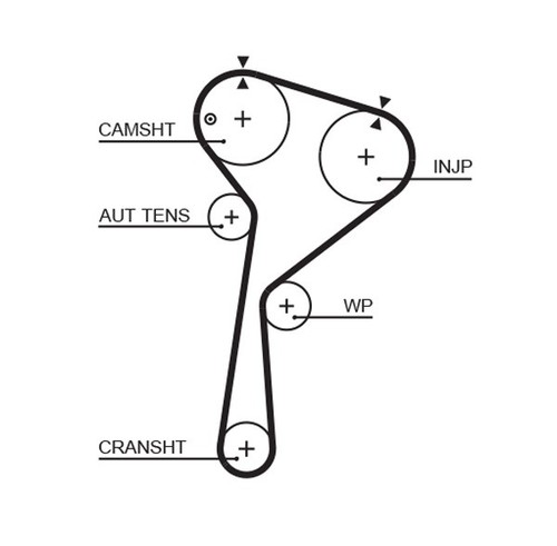 Gates 5675xs timing belt - gates,