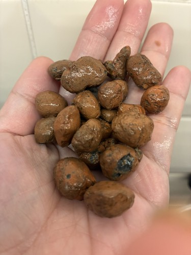 Leca clay pebble - pebble, pellets