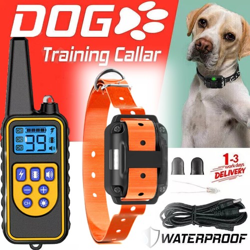 800m anti bark electric - 800m,
