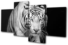 Animals Tiger  MULTI CANVAS