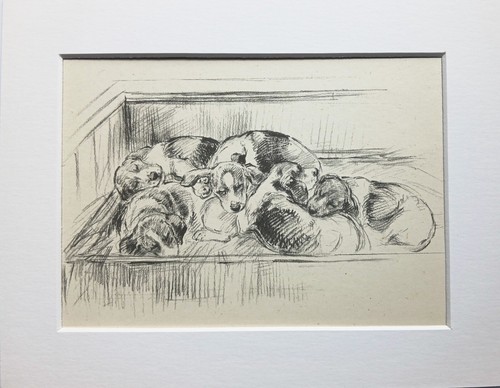 Beagle puppies dog vintage